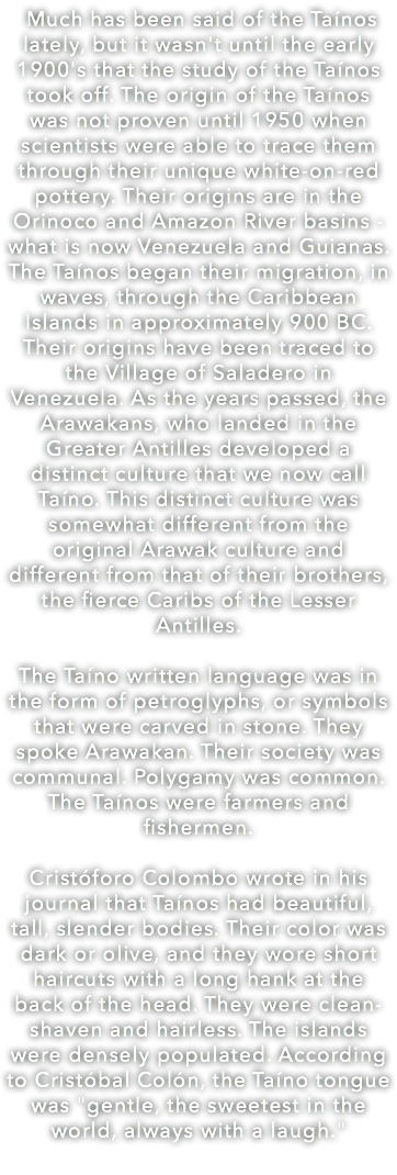 Much has been said of the Taínos lately, but it wasn't until the early 1900's that the study of the Taínos took off. The origin of the Taínos was not proven until 1950 when scientists were able to trace them through their unique white-on-red pottery. Their origins are in the Orinoco and Amazon River basins - what is now Venezuela and Guianas. The Taínos began their migration, in waves, through the Caribbean Islands in approximately 900 BC. Their origins have been traced to the Village of Saladero in Venezuela. As the years passed, the Arawakans, who landed in the Greater Antilles developed a distinct culture that we now call Taíno. This distinct culture was somewhat different from the original Arawak culture and different from that of their brothers, the fierce Caribs of the Lesser Antilles. The Taíno written language was in the form of petroglyphs, or symbols that were carved in stone. They spoke Arawakan. Their society was communal. Polygamy was common. The Taínos were farmers and fishermen. Cristóforo Colombo wrote in his journal that Taínos had beautiful, tall, slender bodies. Their color was dark or olive, and they wore short haircuts with a long hank at the back of the head. They were clean-shaven and hairless. The islands were densely populated. According to Cristóbal Colón, the Taíno tongue was "gentle, the sweetest in the world, always with a laugh." 