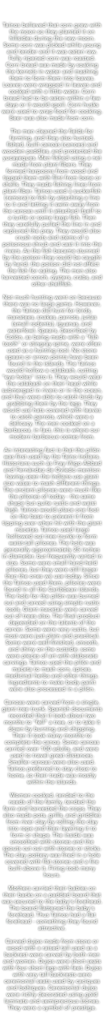  Taínos believed that corn grew with the moon so they planted it on hillsides during the new moon. Some corn was picked while young and tender and it was eaten raw. Fully ripened corn was roasted. Corn bread was made by soaking the kernels in water and mashing them to form them into loaves. Loaves were wrapped in leaves and cooked with a little water. Corn bread had to be eaten within a few days or it would spoil. Corn husks were used to wrap food for cooking. Beer was also made from corn. The men cleared the fields for farming, and they also hunted, fished, built canoas (canoes) and wooden paddles, and protected the yucayeques. Men fished using a net made from plant fibers. They formed harpoons from wood and tipped them with flint from bone or shells. They made fishing lines from plant fiber. Taínos used a suckerfish (remora) to fish by attaching a line to it and letting it swim away from the canoas until it attached itself to a turtle or some large fish. Then they carefully pulled the line in and captured the prey. They would also crush roots and stems of a poisonous shrub and cast it into the rivers. As the fish became stunned by the poison they could be caught by hand; the poison did not affect the fish for eating. The men also harvested conch, oysters, crabs, and other shellfish. Not much hunting went on because there was no large game. However, the Taínos did hunt for birds, manatees, snakes, parrots, jutías (small rodents), iguanas, and waterfowl. Spears, described by Colón, as being made with a "fish tooth" or stingray spine, were often used as a hunting tool. No stone spears or arrow points have been found in the islands. The Taínos would hollow a calabash, cutting "eye holes" into it. They would wear the calabash on their head while submerged in rivers or in the ocean, and thus were able to catch birds by grabbing them by the legs. They would use hats covered with leaves to catch parrots, which were a delicacy. The men cooked on a barbacoa, in fact, this is where our modern barbecue comes from. An interesting fact is that the pilón was first used by the Taíno Indians. Historians such as Fray Iñigo Abbad and Fernández de Oviedo mention having seen the Indians use giant size vases to mash different things. The ancient pilones were much like the pilones of today - the same shape but quite rustic and waist high. Taínos would place one foot on the base to prevent it from tipping over when hit with the giant macetas. Taínos used large hollowed out tree trunks to form waist-tall pilones. The hole was generally approximately 25 inches in diameter, but frequently varied in size. Some were small hand-held pilones, but they were still larger than the ones we use today. Since the Taínos used them, pilones were found in all the Caribbean Islands. The hole for the pilón was burned out and carved using simple rustic tools. Giant macetas were carved out of trees also. The final product depended on the talents of the carver. Some were very rustic, but most were just plain and practical. Some were well-finished, smooth, and shiny on the outside; some were pieces of art with elaborate carvings. Taínos used the pilón and maceta to mash corn, spices, medicinal herbs and other things. Ingredients to make body paint were also processed in a pilón. Canoas were carved from a single, giant tree trunk. Spanish documents recorded that it took about two months to "fell" a tree, or to take it down by burning and chipping. Then it took many months to complete the canoa. Some canoas carried over 100 adults, and were used to travel great distances. Smaller canoas were also used. Taínos preferred to stay close to home, so their trade was mostly within the islands. Women cooked, tended to the needs of the family, tended the farm and harvested the crops. They also made pots, grills, and griddles from river clay by rolling the clay into rope and then layering it to form or shape. The inside was smoothed with stones and the spouts cut out with stones or sticks. The clay pottery was fired in a hole covered with flat stones and a fire built above it. Firing took many hours. Mothers carried their babies on their backs on a padded board that was secured to the baby's forehead. The board flattened the baby's forehead. Thus Taínos had a flat forehead - something they found attractive. Carved dujos made from stone or wood with a raised tail used as a backrest were carved by both men and women. Dujos were short seats with four short legs with feet. Dujos with very tall backrests were ceremonial seats used by caciques and bohiques. Ceremonial dujos were richly decorated using gold laminate and semiprecious stones. They were a symbol of prestige.
